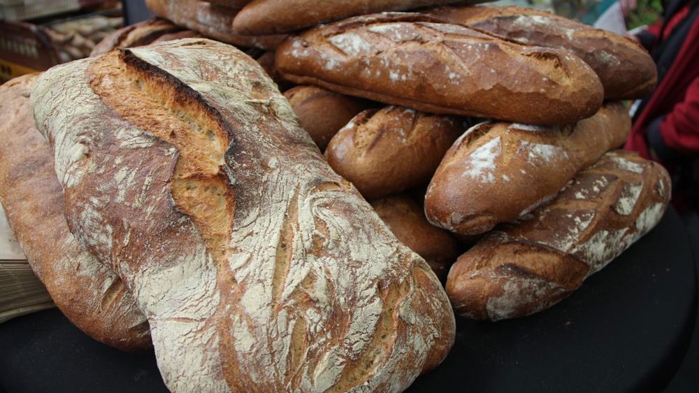 Le pain à la chicorée de Sébastien Bailleul : une croûte bien cuite sur une mie serrée et moelleuse, avec une pointe de caramel. 